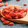 Nutrición de la fruta naranja orgánica baya goji rojo